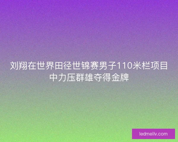 刘翔在世界田径世锦赛男子110米栏项目中力压群雄夺得金牌