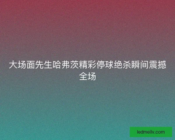 大场面先生哈弗茨精彩停球绝杀瞬间震撼全场