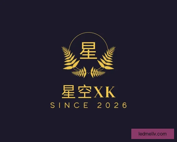 认识xk星空